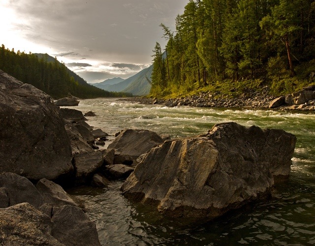 BLoks live preview 2