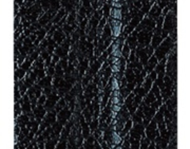 Shiny leather like PU-Film