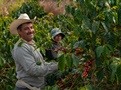 De koffieboer als volwaardig partner van FarmersDirectCoffee